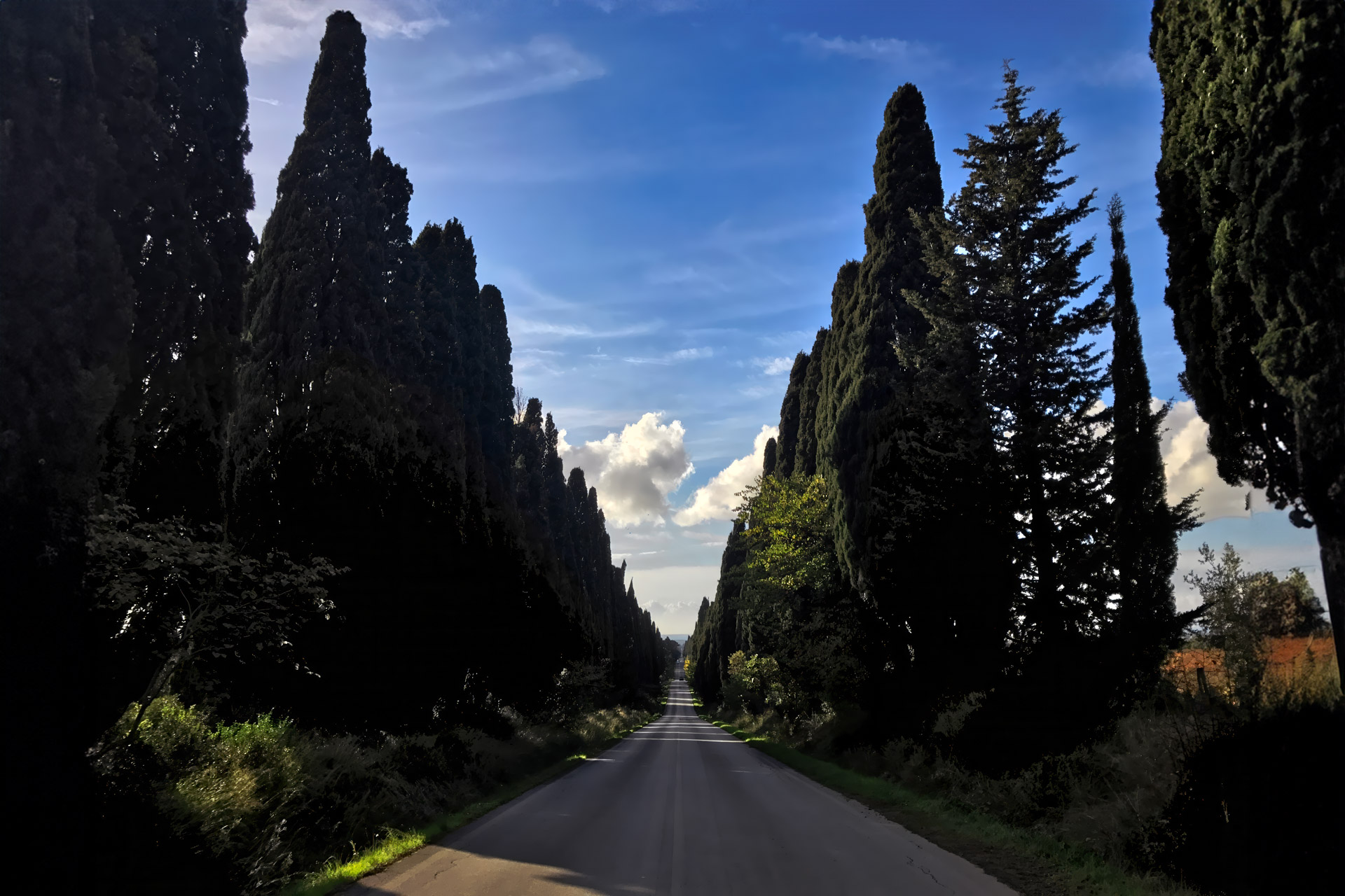 Viale dei Cipressi - Bolgheri